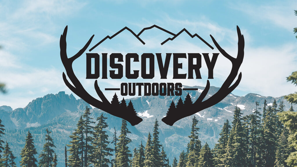 Trees discovery outdoors